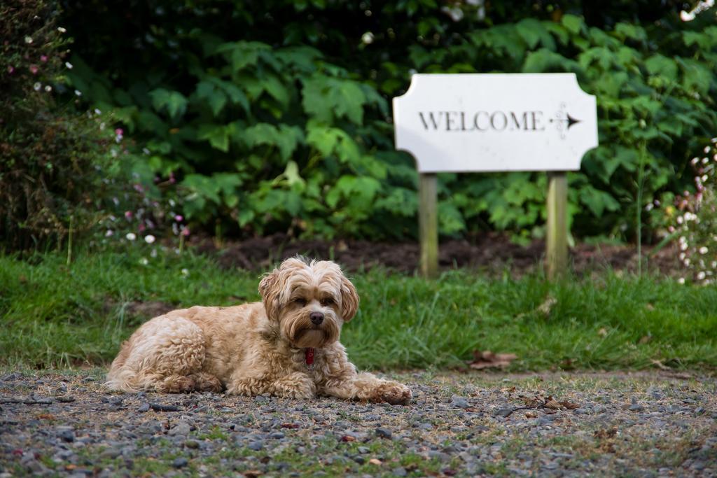 Ugbrooke Country Estate Hotel Lower Dashwood Exterior photo
